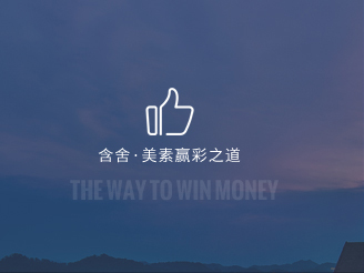 中高檔酒店加盟嬴彩之道